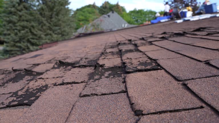 Reliable Attica, MI Roofing Services Solutions