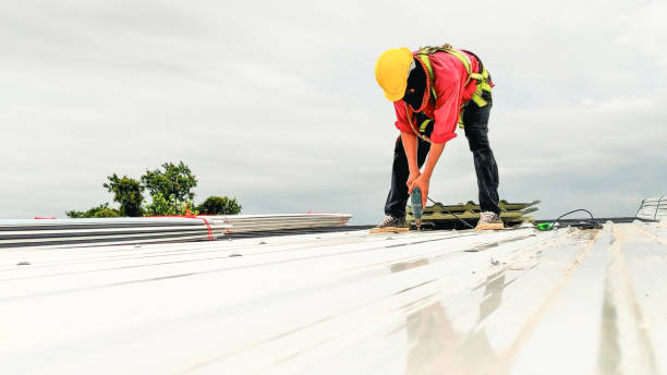 Best Roof Coating and Sealing  in Attica, MI